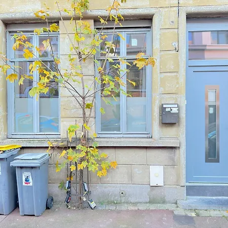 Les Arts 3 Sdb Privatif 1 Er Etage * Roubaix